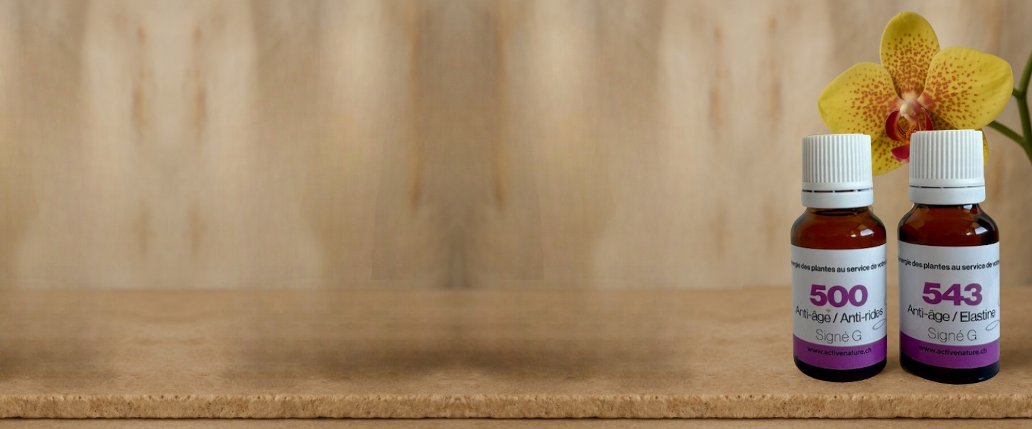 C’est Noël avant l’heure : profitez de notre promo spéciale de fin d’année !